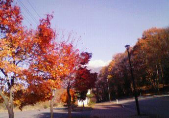 200811121425000.jpg