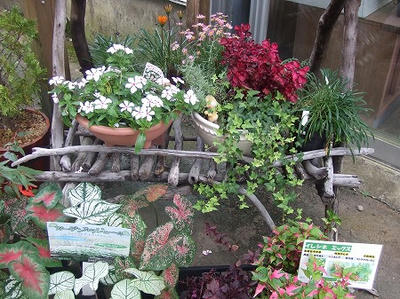 DSCF1569.jpg