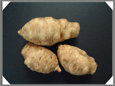 n001.jpg
