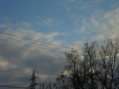 DSC00909.jpg
