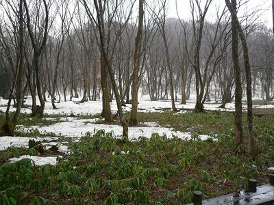 P1030124.jpg