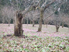 DSCF2087.jpg