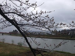 DSCF2092.jpg