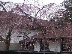 DSCF2096.jpg