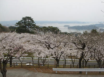 DSC00271.jpg