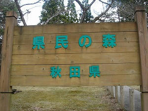 DSC00285.jpg