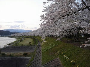 DSC00296.jpg
