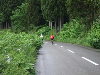 DSCF2244.jpg