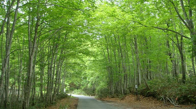 DSC01149.jpg