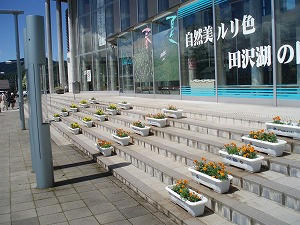 P8112447.jpg