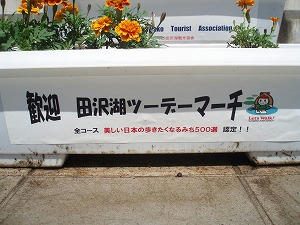 P8112450.jpg