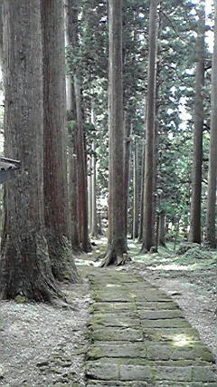 4f7c4227.jpg