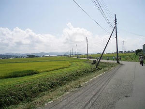 P9052577.jpg