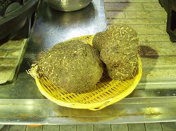 PA032785.jpg