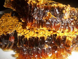 DSCF2632.jpg