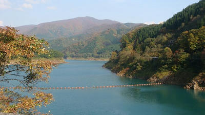DSC01665.jpg