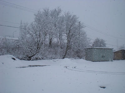 s-CIMG0502.jpg
