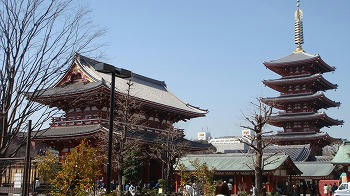 DSC01849.jpg
