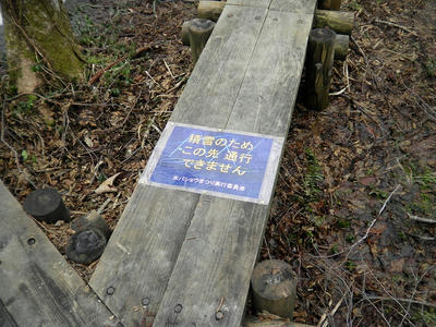 SANY0106.jpg