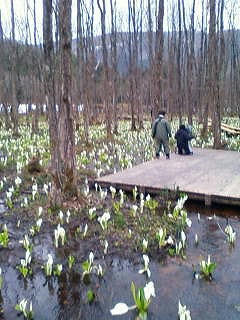 201004170942.jpg