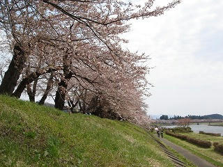 DSC01297.jpg