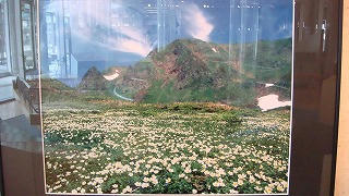DSC01981.jpg