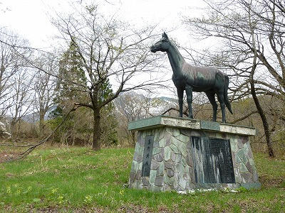 P1010816.jpg