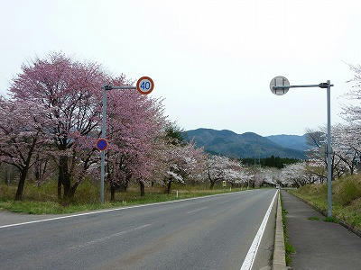 P1010813.jpg