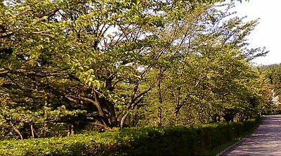 F1000051.JPG