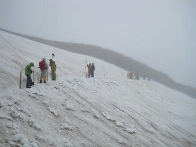 IMG_0767.jpg