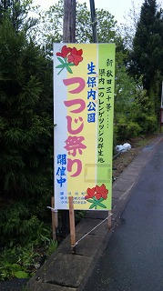 100528_181956.jpg