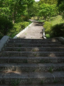 2477774d.jpg