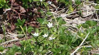 DSC02039.jpg