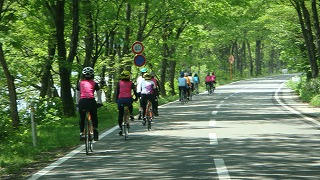 DSC02042.jpg