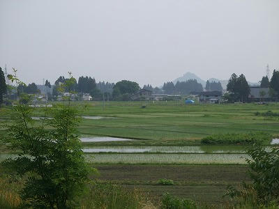 d09e9c12.jpg