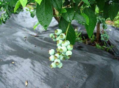 4f653e07.jpg