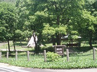 86838cca.jpg