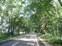 09739461.jpg