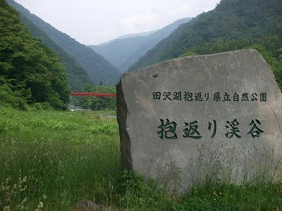 60fe80fe.jpg