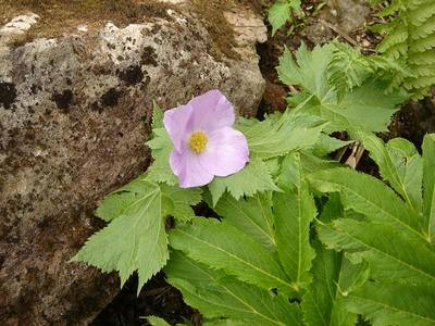 DSC01605.jpg
