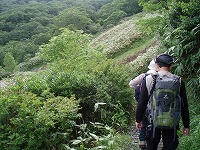 P7133240.jpg