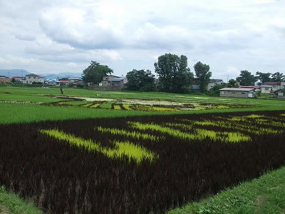 a0fec88f.jpg