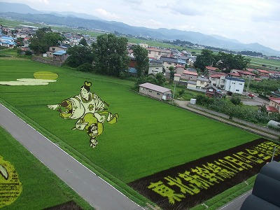 d30ff1a3.jpg