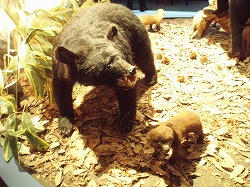 PA063365.jpg