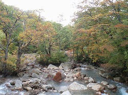 taenoyu.jpg