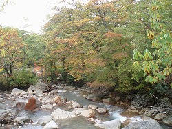 taenoyu2.jpg
