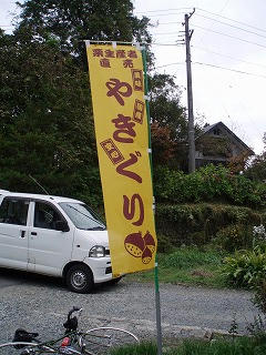 PA250175.jpg
