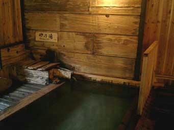 gin-taenoyu.jpg