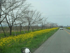 DSCF0280.jpg