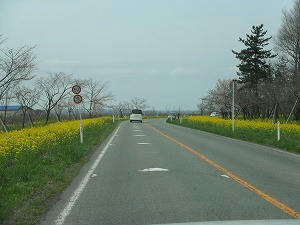 DSCF0281.jpg
